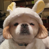 Pancho_py