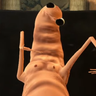 jan_reload
