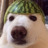 pancerv