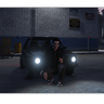 Dante_Wolf