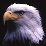 EagleNOR