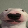 Supolt