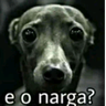 JoaoCarreteiro