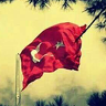 erolcakir