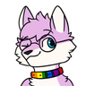 THEHusky55