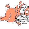 DasPorky