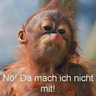 kamikaze13_de