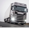 pielecki1233