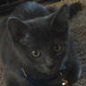 pepperplays4465