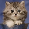 Alexandr_19672
