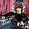 FunkyMonkey71