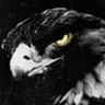 BlackHawk0117