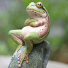 LilFrog