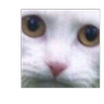 Meow173r