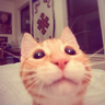 Snoowker
