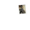 jalmir11