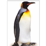gazthme