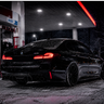 TREX_1