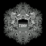 Tiny