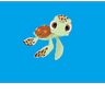 DriftingTurtle