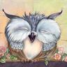 OwL1113