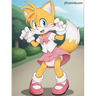Tailsy