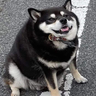 RChie