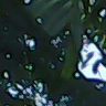 LUMINICREMI