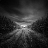 bozsoki93