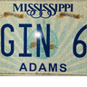 ginrider