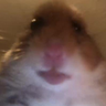 BoldHarry