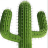 Dat1Cactus