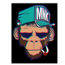 dmgsp