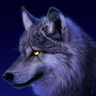 wolfgang