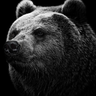 bearbjoern