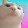 flukymatt