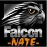 NATE_Falcon