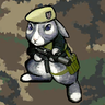 Rainviper7