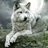 Brodyaga_BY_6
