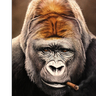 Tibull