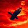 LPhoenix