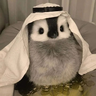 FahdDatibayo