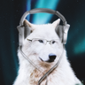 wolflone249