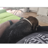 davespain