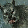 kilket82