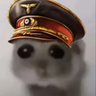 Zogor2000