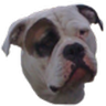 meanietrucker