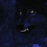 ShadowWolf2k7