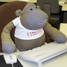 Datamonkey