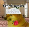 denizggy2